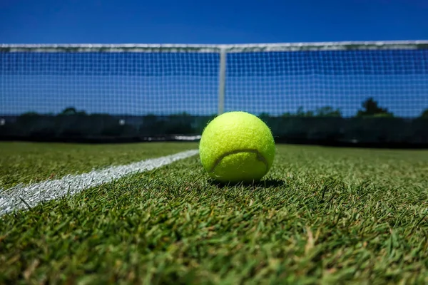 Tennisball Auf Rasen Tennisplatz — Stockfoto