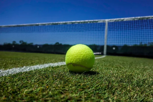 Tennisball Tennisbane – stockfoto