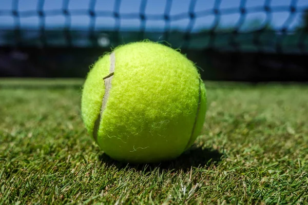 Tennis Bal Gras Tennisbaan — Stockfoto