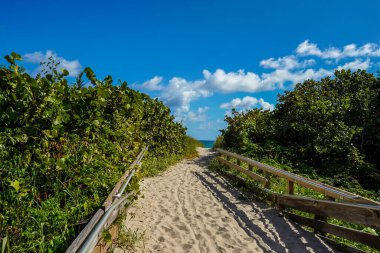 Kumsala ve deniz otlarına giden sahil yolu Singer Adası, Güney Florida 'daki Atlantik Okyanusu' na çıkıyor.