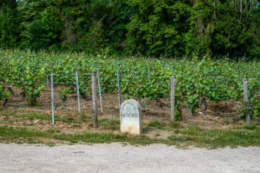 Champagne Mercier için üzüm bağı taşı Epernay, Champagne Capitol, Fransa