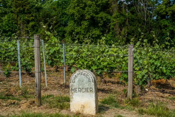 Vineyard marker stone for Champagne Mercier in Epernay, Capitol of Champagne, France