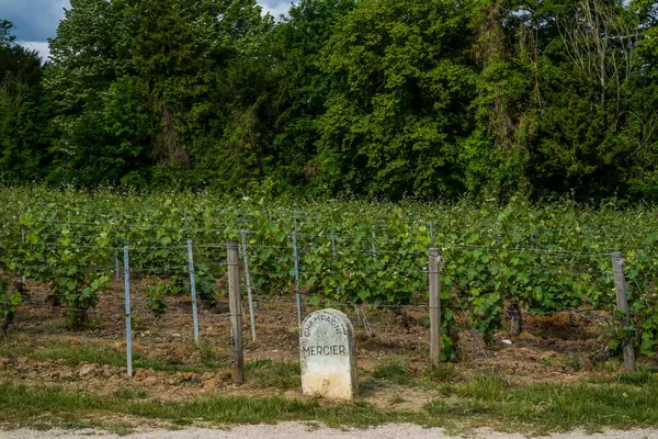 Vineyard marker stone for Champagne Mercier in Epernay, Capitol of Champagne, France