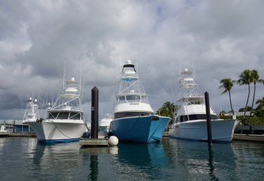 PALM BEACH SHORES, FLORIDA - 8 Kasım 2023: Yelkenli ve yatlar, dünyaca ünlü lüks balıkçı yatları filosu ve Palm Beaches, Florida 'daki favori rıhtımına ev sahipliği yapıyor.