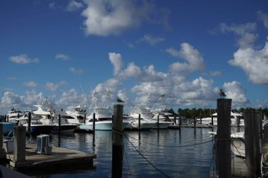 PALM BEACH SHORES, FLORIDA - 8 Kasım 2023: Yelkenli ve yatlar, dünyaca ünlü lüks balıkçı yatları filosu ve Palm Beaches, Florida 'daki favori rıhtımına ev sahipliği yapıyor.