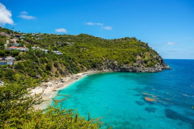 Deniz kabuğu sahili, St. Barts, Fransız Batı Hint Adaları