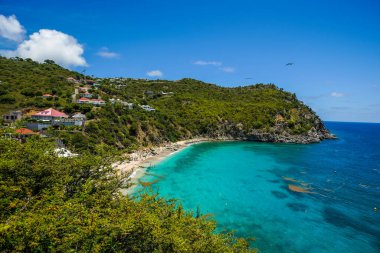 Deniz kabuğu sahili, St. Barts, Fransız Batı Hint Adaları