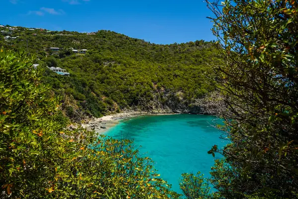 Deniz kabuğu sahili, St. Barts, Fransız Batı Hint Adaları