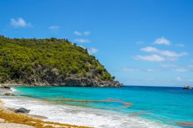 St. Barthelemy 'deki ünlü Shell Sahili, Fransız Batı Hint Adaları