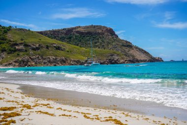 St. Barthelemy 'deki ünlü Saline Sahili, Fransız Batı Hint Adaları