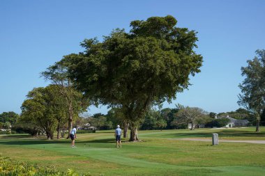 CORAL GABLES, FLORIDA - 12 Şubat 2024: Coral Gables, Florida 'daki Biltmore Golf Sahası.