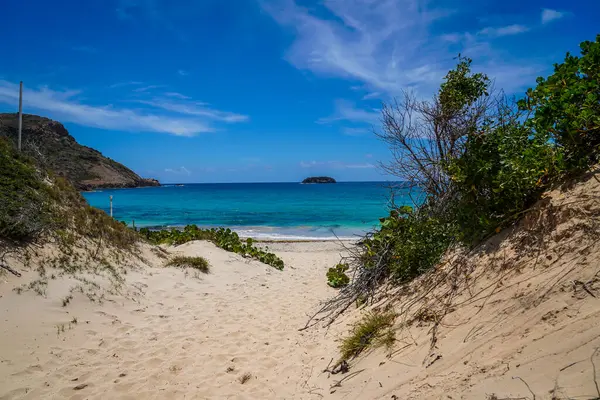 stock image Famous Saline Beach in St Barthelemy, French West Indies