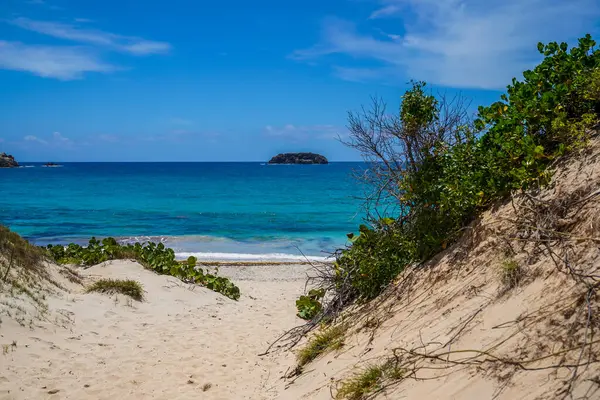 stock image Famous Saline Beach in St Barthelemy, French West Indies