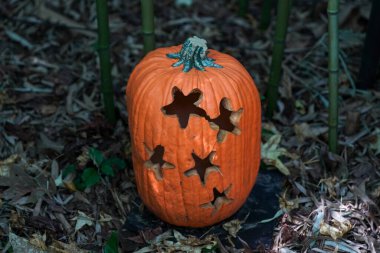 Cadılar Bayramı dekorasyonu için oyulmuş balkabakları