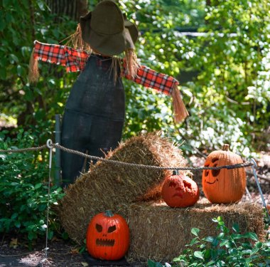 Cadılar Bayramı dekorasyonu için oyulmuş balkabakları