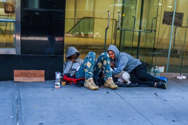 NEW YORK - 7 Kasım 2024: Manhattan şehir merkezindeki 5. bulvarda köpekli evsiz bir çift
