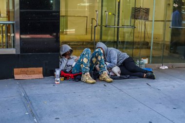 NEW YORK - 7 Kasım 2024: Manhattan şehir merkezindeki 5. bulvarda köpekli evsiz bir çift