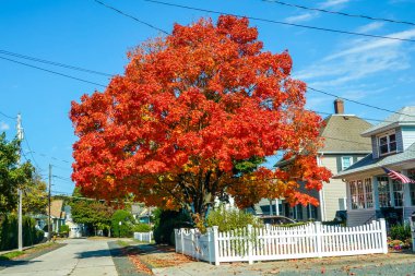 Pastırma yazı Long Island, New York