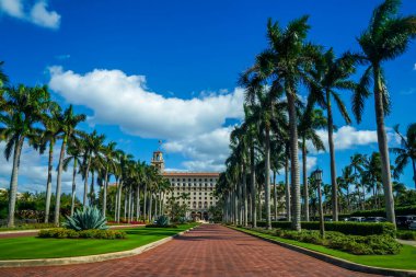 PALM BEACH, FLORIDA - 16 Kasım 2024: 100 görkemli kraliyet palmiyesi ve Kanarya Adası hurma ağaçları The Breakers Palm Beach ana yolu. Breakers Palm Beach, Palm Beach, Florida 'da İtalyan Rönesans tarzı tarihi bir oteldir.