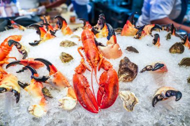 Buzda çeşitli deniz ürünleri sergisi 