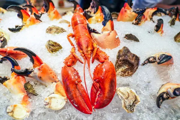 Buzda çeşitli deniz ürünleri sergisi 