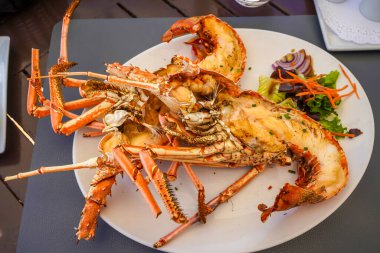 Izgara Karayip Istakozu, yanında salata ile servis edilir.