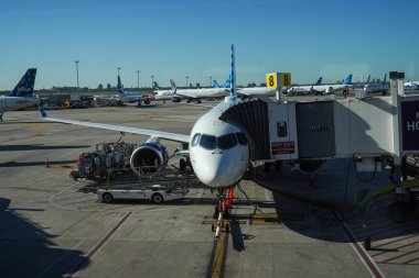 NEW YORK - 16 Nisan 2024: JetBlue uçağı New York 'taki JFK Uluslararası Havaalanı Terminal 5' in kapısına park etti. 