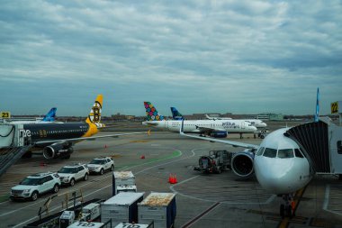 NEW YORK - 10 ARALIK 2021 JetBlue Airbus A320 Bear Force One uçağıyla JFK Uluslararası Havaalanı Terminal 5 'in kapısına park etti. Boston Bruins hokey takımına ithaf edilmiştir.