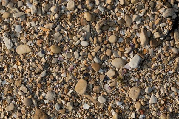 Små Stenar Bildar Bakgrunden Till Havets Strand Grov Flerfärgad Sand — Stockfoto