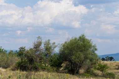 Güney Avrupa'nın panoramik arazisi. Bulgaristan-dağlar, tarlalar, flora peyzaj.