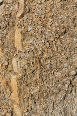 Kaya oluşumu. Taş parçalarının arka planı. Dağlar, makro fotoğrafçılık.