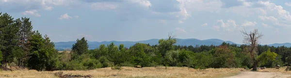 Panoramiczny Teren Południowej Europy Krajobraz Bułgarii Góry Pola Flora — Zdjęcie stockowe