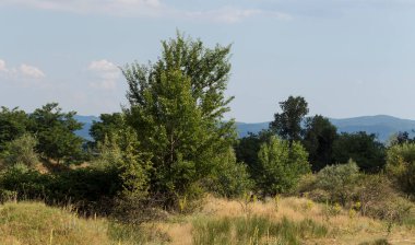 Güney Avrupa'nın panoramik arazisi. Bulgaristan-dağlar, tarlalar, flora peyzaj.