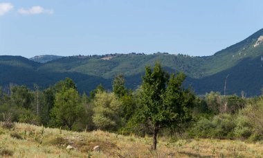 Güney Avrupa'nın panoramik arazisi. Bulgaristan-dağlar, tarlalar, flora peyzaj.