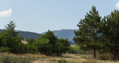 Güney Avrupa'nın panoramik arazisi. Bulgaristan-dağlar, tarlalar, flora peyzaj.