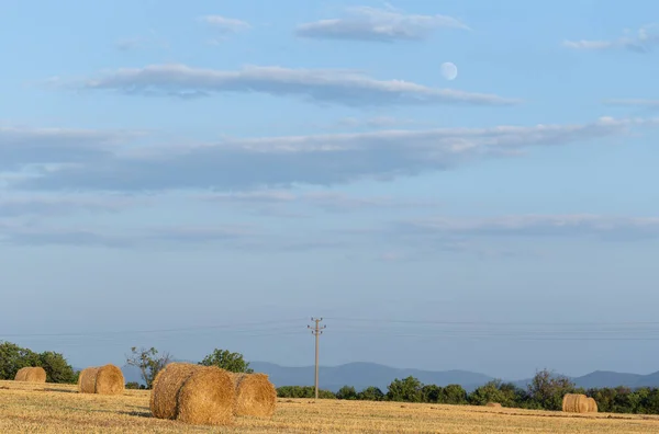 小麦收获 田里堆满了稻草 山区的农业 — 图库照片