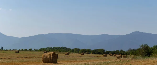 Colheita Trigo Fardos Redondos Palha Campo Agricultura Zonas Montanhosas — Fotografia de Stock