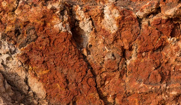 Sedimentary Rocks High Content Iron Oxide Red Soil Loam Texture — Photo
