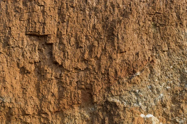 산화철 함유된 퇴적암 토양의 — 스톡 사진
