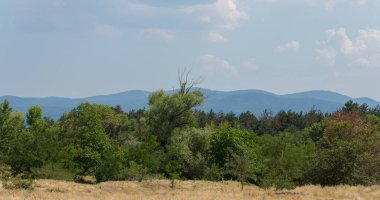 Güney Avrupa'nın panoramik arazisi. Bulgaristan-dağlar, tarlalar, flora peyzaj.