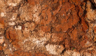 Yüksek oranda demir oksit içeren tortulu kayalar. Kırmızı toprak, toprak. Toprağın dokusu.