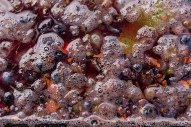 Şarap malzemesi, üzüm suyu - mutlaka, stum, maun. Moldova 'da şarap üretim teknolojisi. Şarap yapma geleneği..