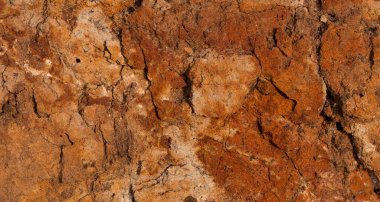 Yüksek oranda demir oksit içeren tortulu kayalar. Kırmızı toprak, toprak. Toprağın dokusu.