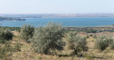 Landscape of the northern part of the Republic of Moldova with the Dniester River.