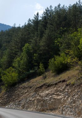 Rhodopes, Güneydoğu Avrupa 'da bir sıradağdır. Bulgaristan. Panorama. Orman alanı dağları kaplıyor..