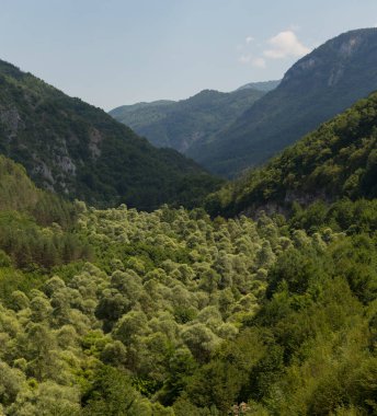 Rhodopes, Güneydoğu Avrupa 'da bir sıradağdır. Bulgaristan. Panorama. Orman alanı dağları kaplıyor..