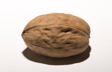 Cevizler yuvarlaktır, ceviz ağacının tek tohumlu taş meyveleri..