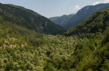 Rhodopes, Güneydoğu Avrupa 'da bir sıradağdır. Bulgaristan. Panorama. Orman alanı dağları kaplıyor..