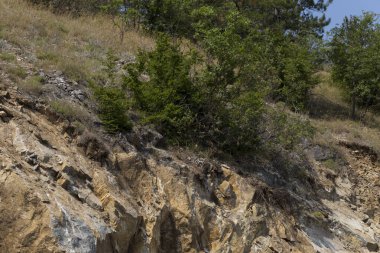 Rhodopes, Güneydoğu Avrupa 'da bir sıradağdır. Bulgaristan. Panorama. Orman alanı dağları kaplıyor..