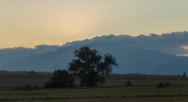 Buğday hasadı. Tarlada yuvarlak saman balyaları. Dağlık alanlarda tarım.